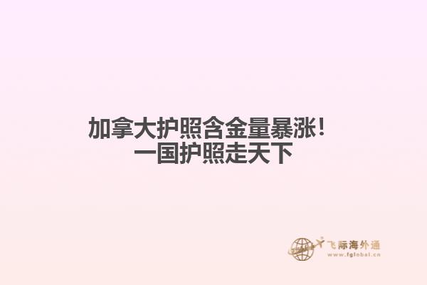 加拿大護照含金量暴漲!一國護照走天下