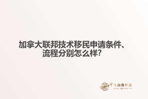 加拿大聯(lián)邦技術(shù)移民申請條件、流程分別怎么樣？