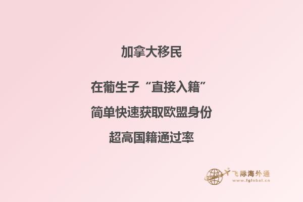 加拿大魁省投資移民適合哪些人，申請周期要多久？
