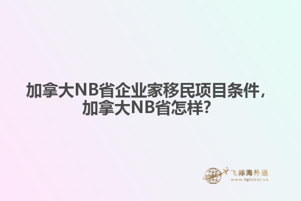 加拿大NB省企業(yè)家移民項目條件，加拿大NB省怎樣？