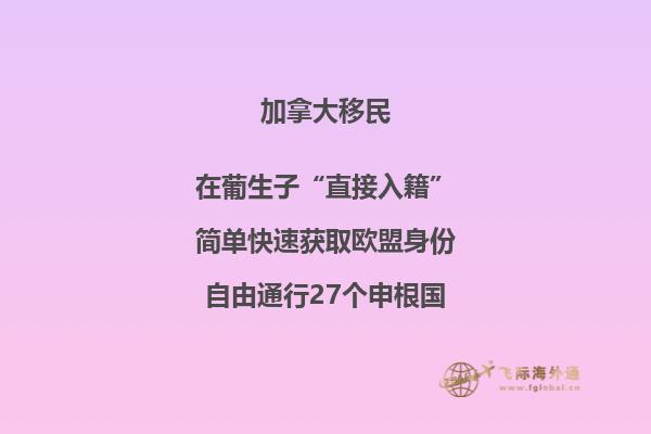 加拿大安省技術(shù)移民項(xiàng)目，哪種方式更適合你？