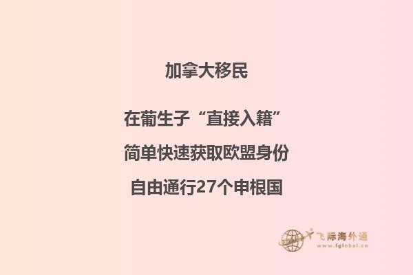 移民加拿大方式有哪些，如何維持加拿大楓葉卡？
