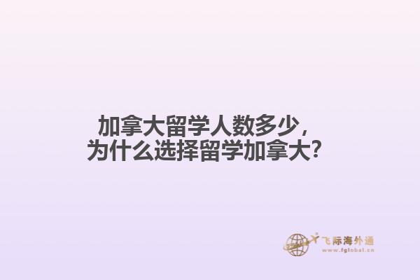 加拿大留學(xué)人數(shù)多少，為什么選擇留學(xué)加拿大？