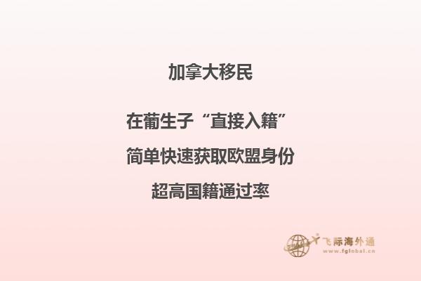 加拿大綠卡的利弊，本文告訴你答案！
