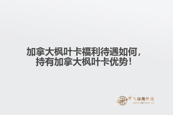 加拿大楓葉卡福利待遇如何，持有加拿大楓葉卡優(yōu)勢(shì)！