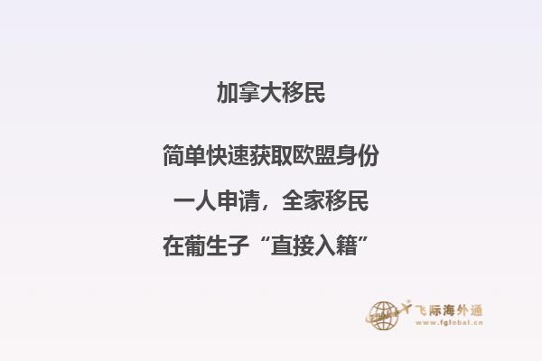 技術(shù)移民加拿大容易嗎，加拿大技術(shù)移民條件如何？