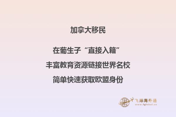 加拿大投資移民風險匯總，要避開哪些陷阱？ 