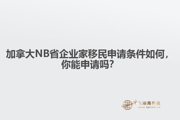 加拿大NB省企業(yè)家移民申請條件如何，你能申請嗎？