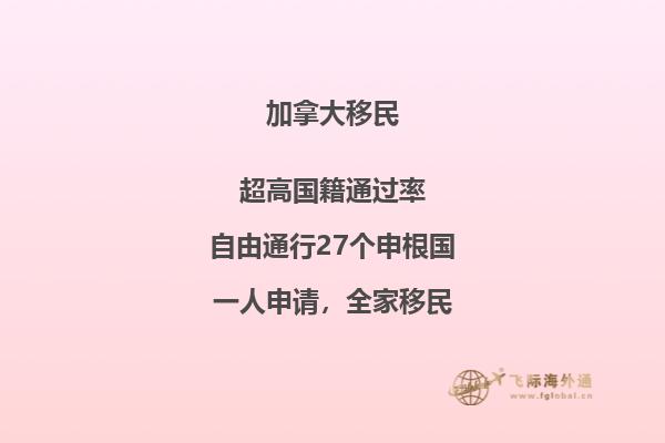 接到移民局背調(diào)電話怎么辦，如何輕松應(yīng)對移民局電話調(diào)查