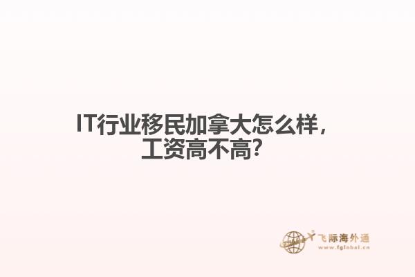 IT行業(yè)移民加拿大怎么樣，工資高不高？