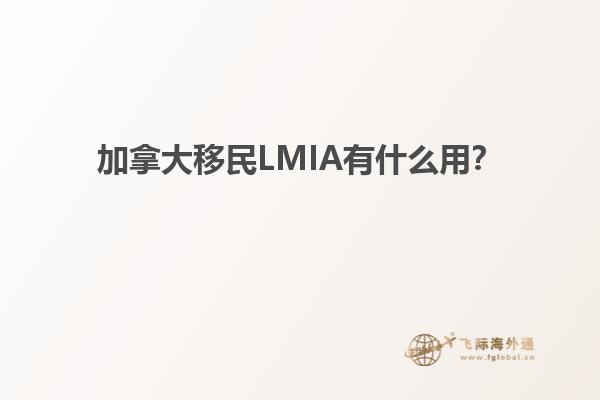 加拿大移民LMIA有什么用？