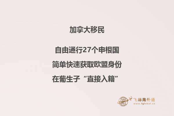 加拿大計(jì)算機(jī)專(zhuān)業(yè)排名前30的大學(xué)