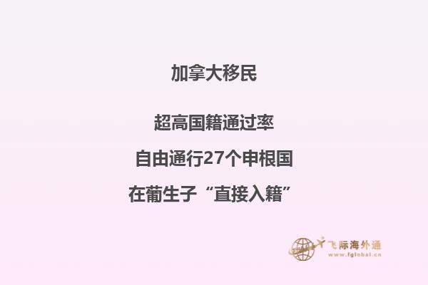 美國辦理加拿大旅游簽證如何辦理？