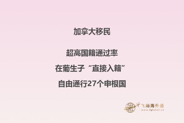 加拿大有哪些主流移民項(xiàng)目？