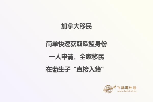 加拿大SUV移民條件，暢享加國自由與豪華！
