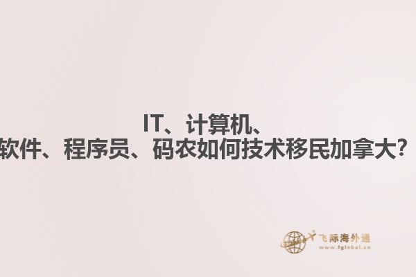 IT、計(jì)算機(jī)、軟件、程序員、碼農(nóng)如何技術(shù)移民加拿大？