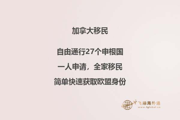 IT、計(jì)算機(jī)、軟件、程序員、碼農(nóng)如何技術(shù)移民加拿大？