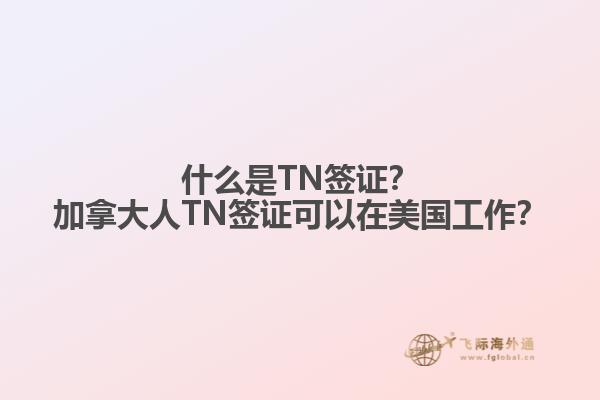 什么是TN簽證？加拿大人TN簽證可以在美國(guó)工作？