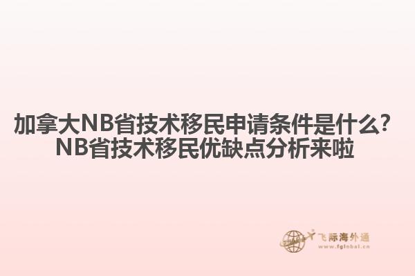 加拿大NB省技術(shù)移民申請(qǐng)條件是什么？NB省技術(shù)移民優(yōu)缺點(diǎn)分析來(lái)啦 