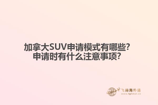 加拿大SUV申請模式有哪些？申請時有什么注意事項？
