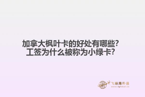 加拿大楓葉卡的好處有哪些？工簽為什么被稱為小綠卡？