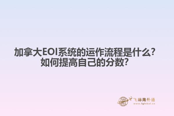 加拿大EOI系統(tǒng)的運(yùn)作流程是什么？如何提高自己的分?jǐn)?shù)？