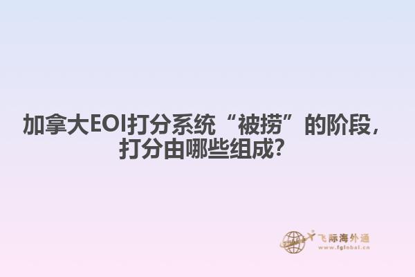 加拿大EOI打分系統(tǒng)“被撈”的階段，打分由哪些組成？