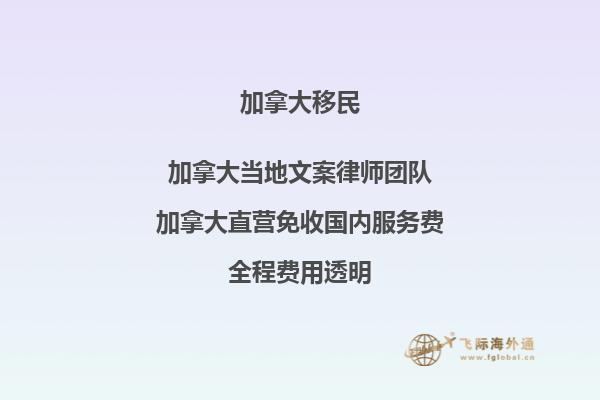 疫情對加拿大移民有何影響？如何應對？