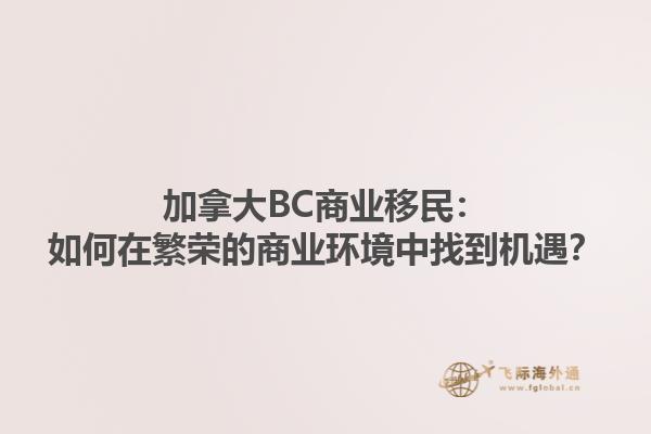 加拿大BC商業(yè)移民：如何在繁榮的商業(yè)環(huán)境中找到機遇？