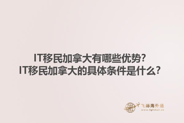 IT移民加拿大有哪些優(yōu)勢？IT移民加拿大的具體條件是什么？