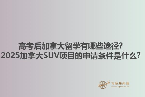 高考后加拿大留學有哪些途徑？2025加拿大SUV項目的申請條件是什么？