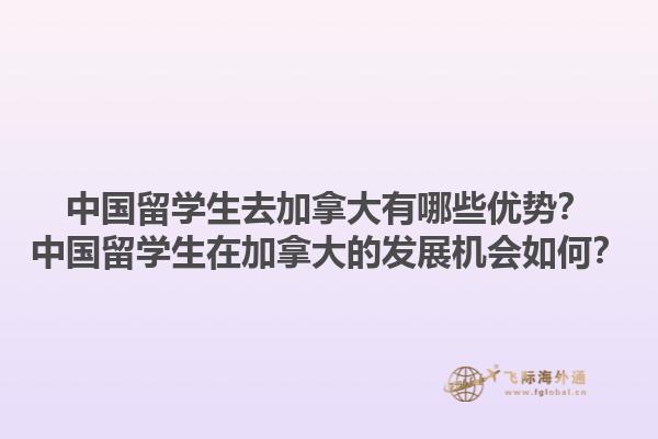 中國留學生去加拿大有哪些優(yōu)勢？中國留學生在加拿大的發(fā)展機會如何？1.jpg