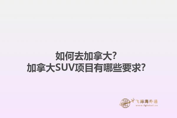 如何去加拿大？加拿大SUV項目有哪些要求？