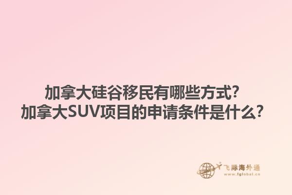 加拿大硅谷移民有哪些方式？加拿大SUV項(xiàng)目的申請條件是什么？