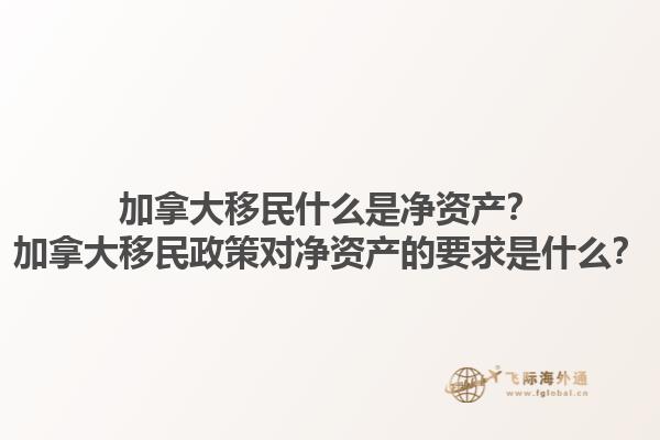 加拿大移民什么是凈資產(chǎn)？加拿大移民政策對(duì)凈資產(chǎn)的要求是什么？1.jpg