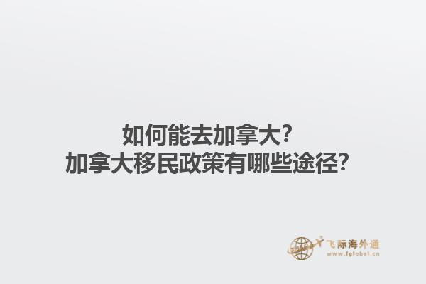 如何能去加拿大？加拿大移民政策有哪些途徑？