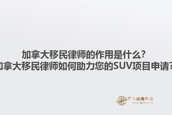 加拿大移民律師的作用是什么？加拿大移民律師如何助力您的SUV項(xiàng)目申請？