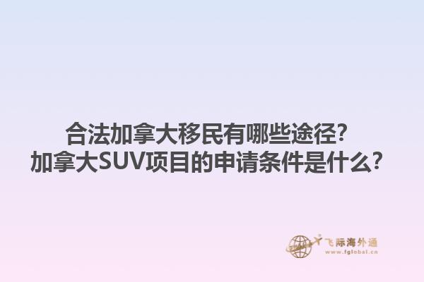 合法加拿大移民有哪些途徑？加拿大SUV項目的申請條件是什么？