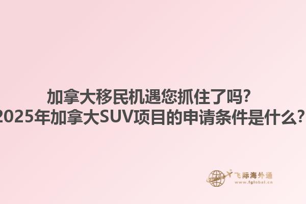 加拿大移民機遇您抓住了嗎？2025年加拿大SUV項目的申請條件是什么？