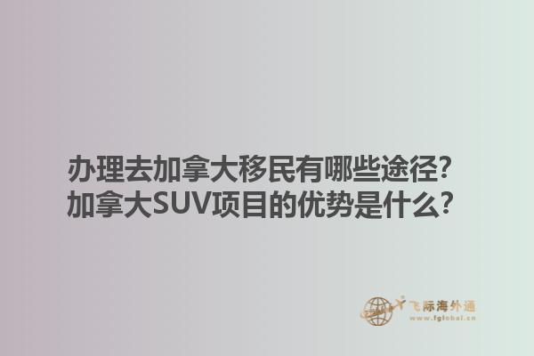 辦理去加拿大移民有哪些途徑？加拿大SUV項(xiàng)目的優(yōu)勢(shì)是什么？