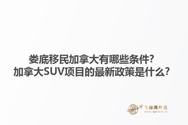 婁底移民加拿大有哪些條件？加拿大SUV項(xiàng)目的最新政策是什么？
